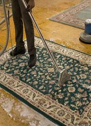 rug cleaning nyc , persian carpet cleaning